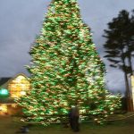 LL Bean Christmas Tree