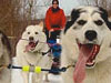 freeport-dogs-sm