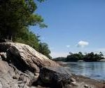 Rocky shoreline with boulders and trees—perfect for vacationing in Maine under a clear blue sky.