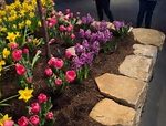 Flower bed with yellow, pink, and purple blooms at a B&B; people enjoy a spring getaway in the background.