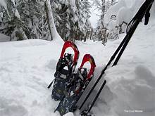 cross country skiing freeport me